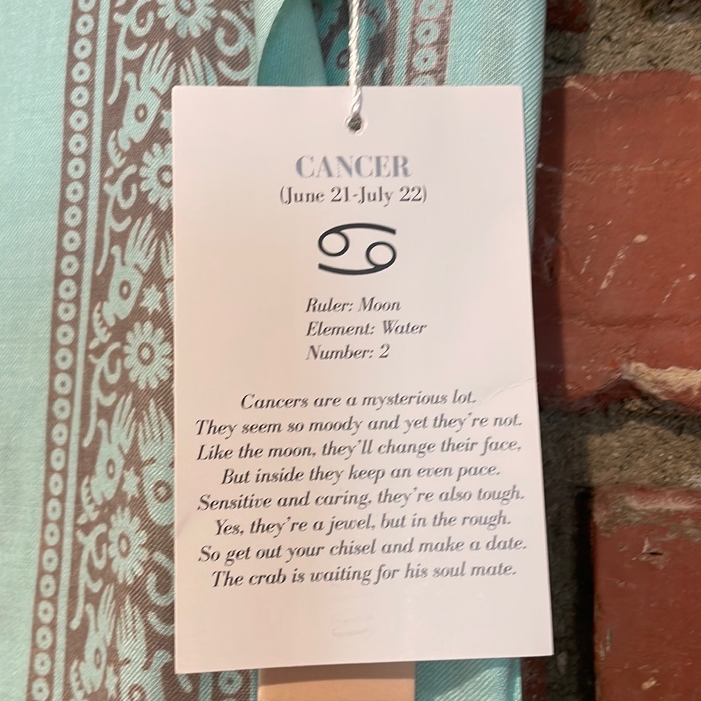 NWT Sir Alistair Rai  horoscope infinity scarf  blue print - Picture 2 of 5